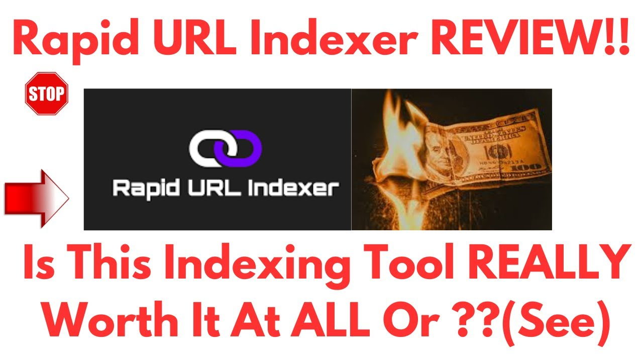 rapid url indexer review