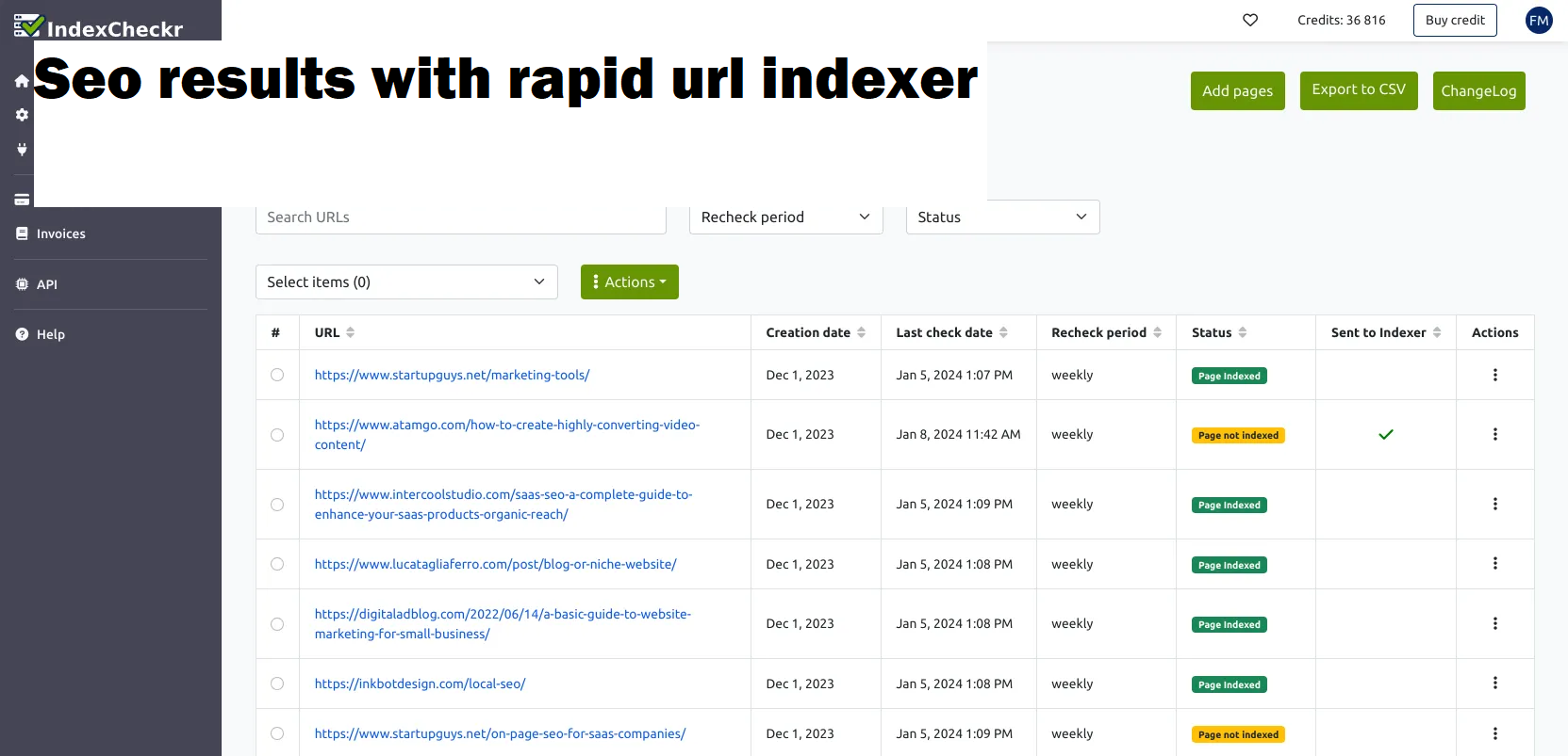 seo results with rapid url indexer