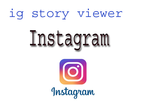 IG Story Viewer