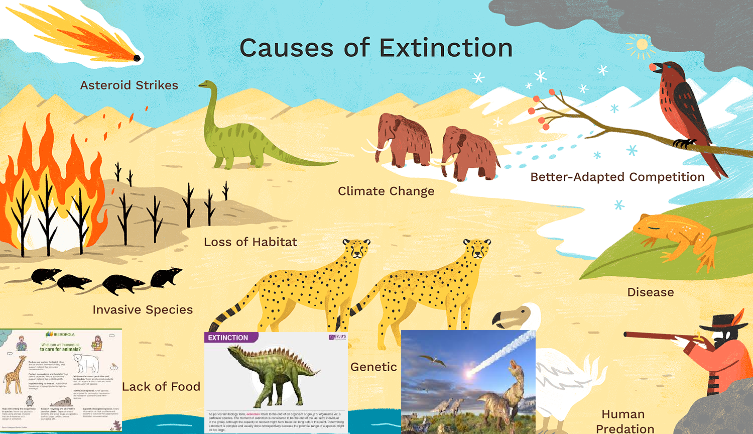 main causes of extinction of animals